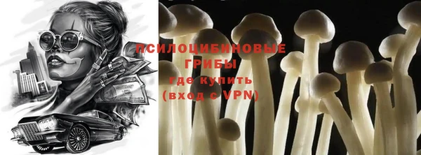 a pvp Беломорск