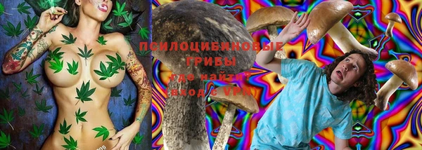 a pvp Беломорск