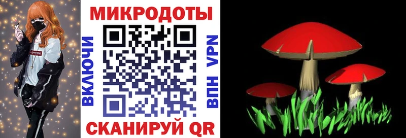 Псилоцибиновые грибы прущие грибы  Лабинск 